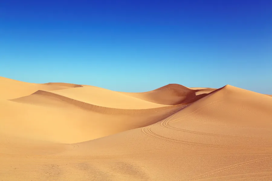 A vast desert landscape featuring smooth, golden sand dunes under a clear blue sky